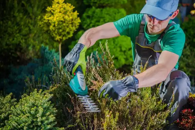 landscaping services Franklin Furnace